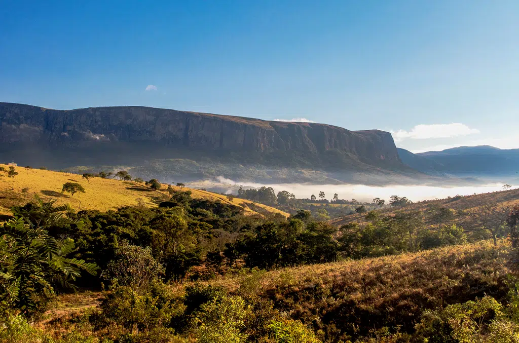 Cerrado Mineiro highlands